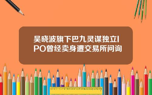 吴晓波旗下巴九灵谋独立IPO曾经卖身遭交易所问询