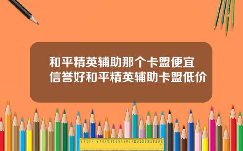 和平精英辅助那个卡盟便宜信誉好和平精英辅助卡盟低价