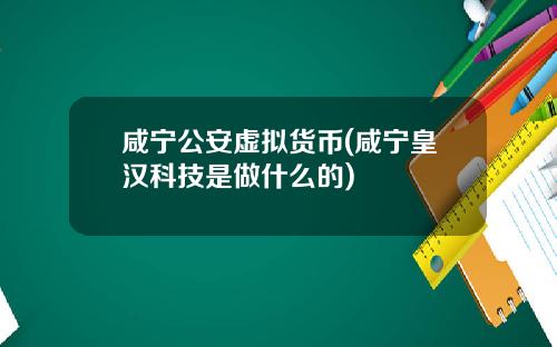 咸宁公安虚拟货币(咸宁皇汉科技是做什么的)