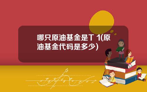 哪只原油基金是T 1(原油基金代码是多少)