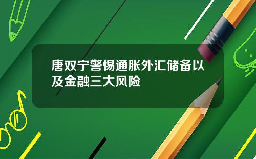 唐双宁警惕通胀外汇储备以及金融三大风险