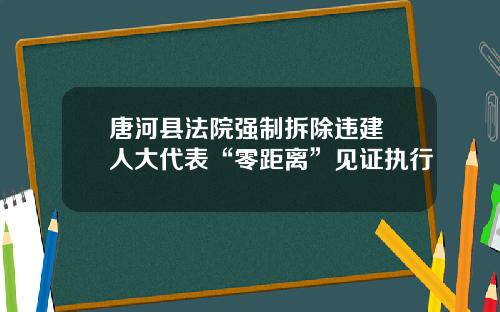 唐河县法院强制拆除违建 人大代表“零距离”见证执行