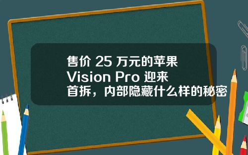 售价 25 万元的苹果 Vision Pro 迎来首拆，内部隐藏什么样的秘密？