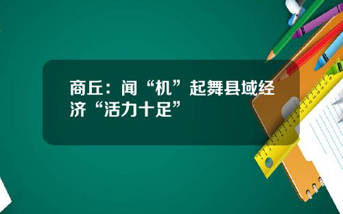 商丘：闻“机”起舞县域经济“活力十足”