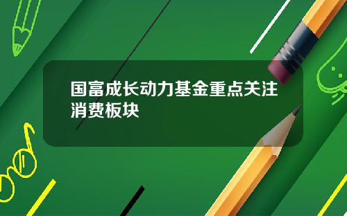 国富成长动力基金重点关注消费板块