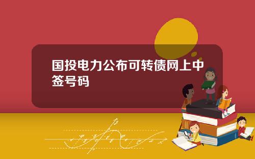 国投电力公布可转债网上中签号码