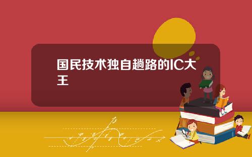 国民技术独自趟路的IC大王