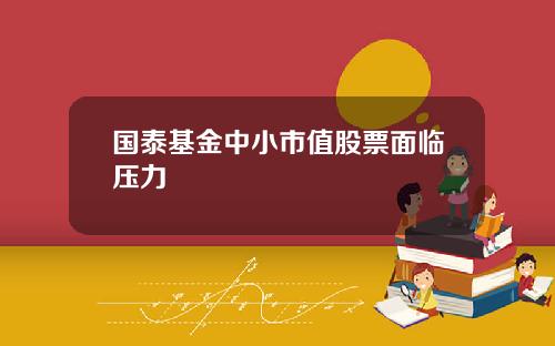 国泰基金中小市值股票面临压力