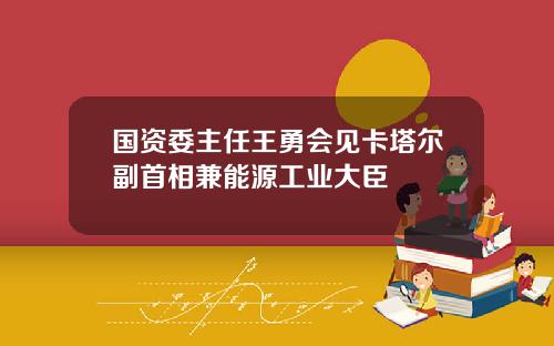 国资委主任王勇会见卡塔尔副首相兼能源工业大臣