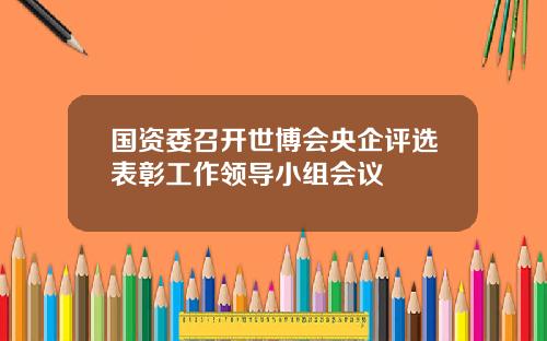 国资委召开世博会央企评选表彰工作领导小组会议