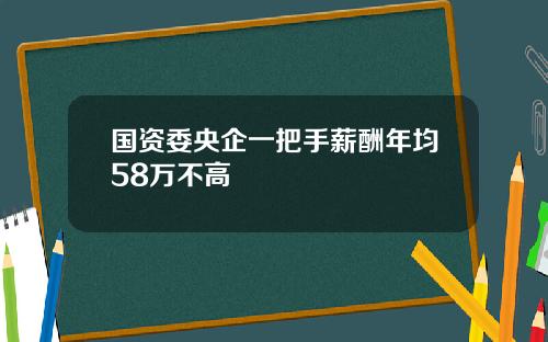 国资委央企一把手薪酬年均58万不高