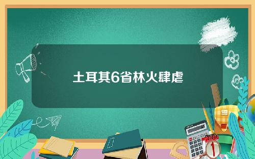 土耳其6省林火肆虐