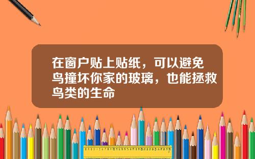 在窗户贴上贴纸，可以避免鸟撞坏你家的玻璃，也能拯救鸟类的生命
