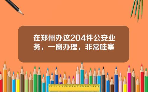 在郑州办这204件公安业务，一窗办理，非常哇塞