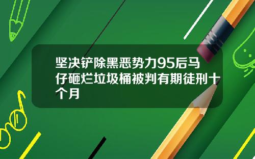 坚决铲除黑恶势力95后马仔砸烂垃圾桶被判有期徒刑十个月