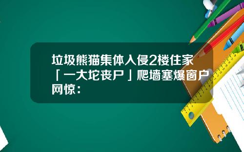 垃圾熊猫集体入侵2楼住家「一大坨丧尸」爬墙塞爆窗户网惊：