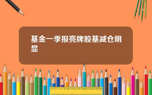 基金一季报亮牌股基减仓明显