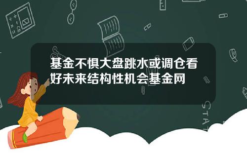 基金不惧大盘跳水或调仓看好未来结构性机会基金网