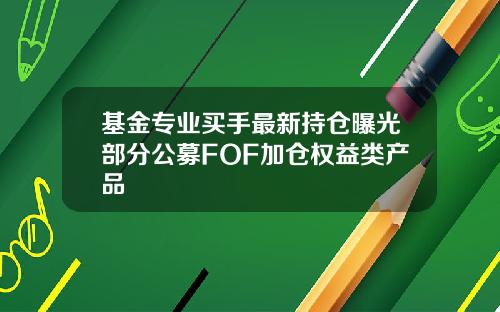 基金专业买手最新持仓曝光部分公募FOF加仓权益类产品