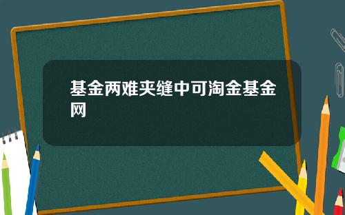 基金两难夹缝中可淘金基金网