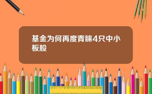 基金为何再度青睐4只中小板股