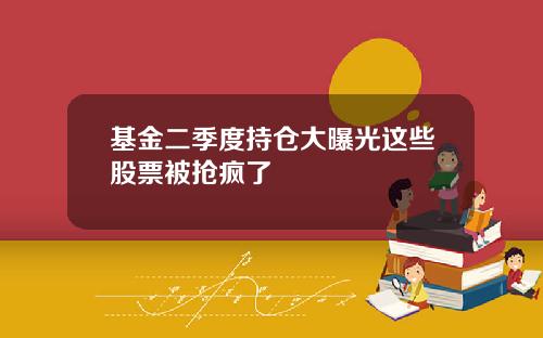基金二季度持仓大曝光这些股票被抢疯了