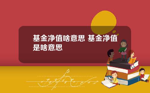 基金净值啥意思 基金净值是啥意思