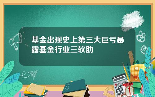基金出现史上第三大巨亏暴露基金行业三软肋