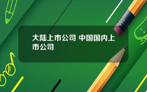大陆上市公司 中国国内上市公司