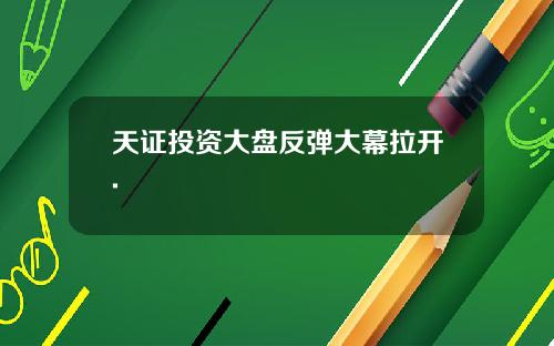 天证投资大盘反弹大幕拉开.