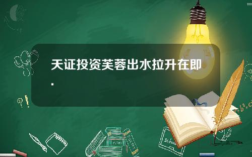 天证投资芙蓉出水拉升在即.