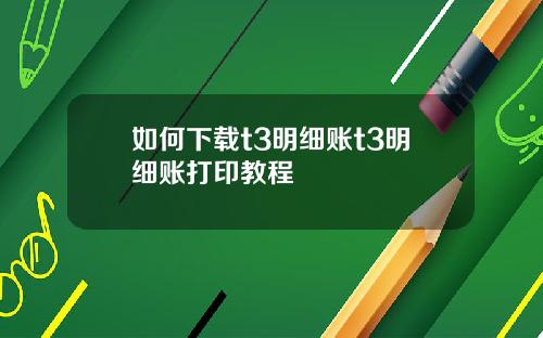 如何下载t3明细账t3明细账打印教程
