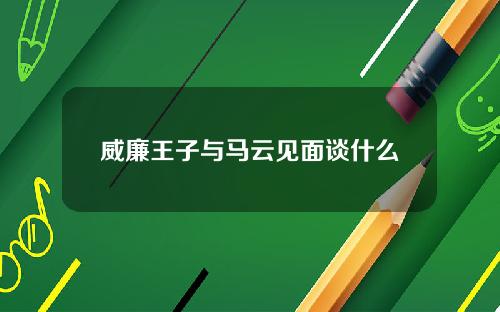 威廉王子与马云见面谈什么