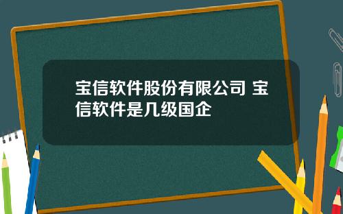 宝信软件股份有限公司 宝信软件是几级国企