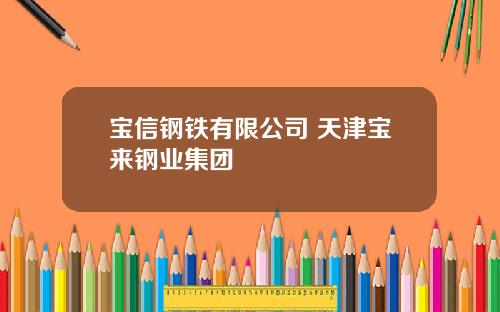 宝信钢铁有限公司 天津宝来钢业集团