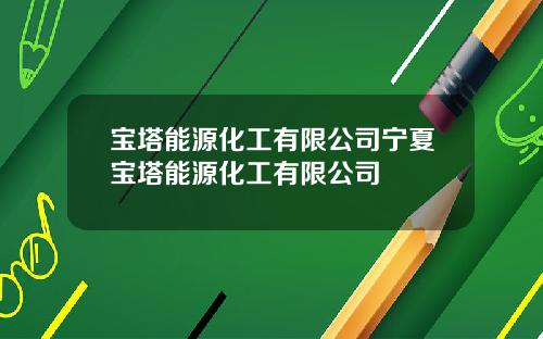 宝塔能源化工有限公司宁夏宝塔能源化工有限公司