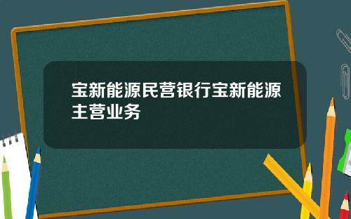 宝新能源民营银行宝新能源主营业务