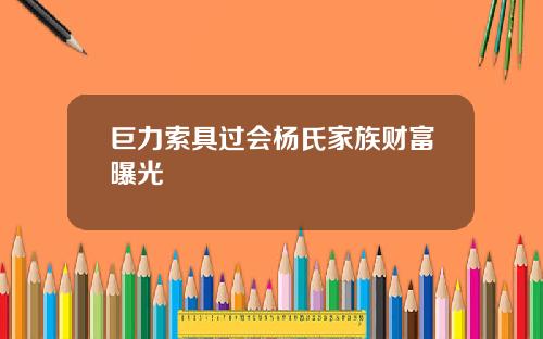 巨力索具过会杨氏家族财富曝光