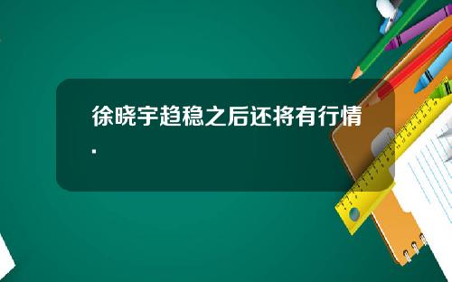 徐晓宇趋稳之后还将有行情.
