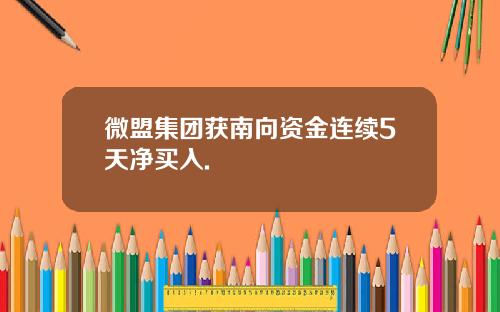 微盟集团获南向资金连续5天净买入.