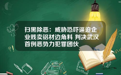 扫黑除恶：威胁恐吓逼迫企业贱卖铝材边角料 判决武汉首例恶势力犯罪团伙