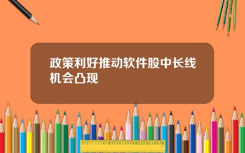 政策利好推动软件股中长线机会凸现