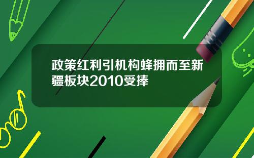 政策红利引机构蜂拥而至新疆板块2010受捧