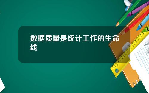 数据质量是统计工作的生命线
