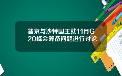 普京与沙特国王就11月G20峰会筹备问题进行讨论