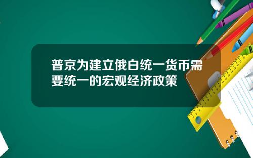普京为建立俄白统一货币需要统一的宏观经济政策