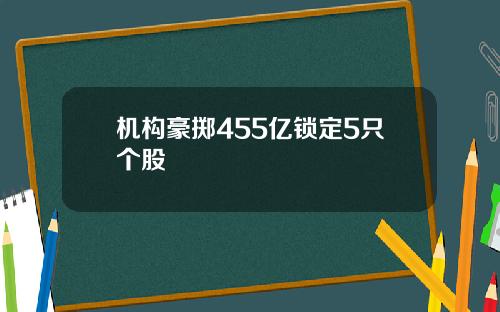 机构豪掷455亿锁定5只个股