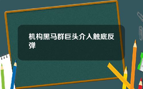 机构黑马群巨头介入触底反弹