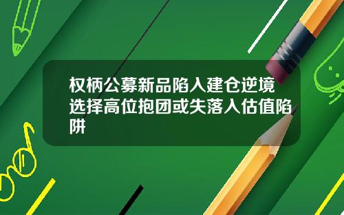 权柄公募新品陷入建仓逆境选择高位抱团或失落入估值陷阱