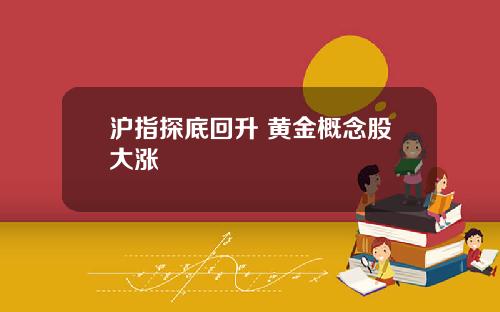 沪指探底回升 黄金概念股大涨